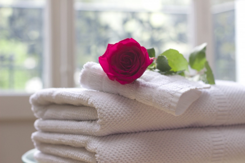 hotel-ST MARTIN DU VAR-min_towel_rose_clean_care_salon_spa_white_bath-731641